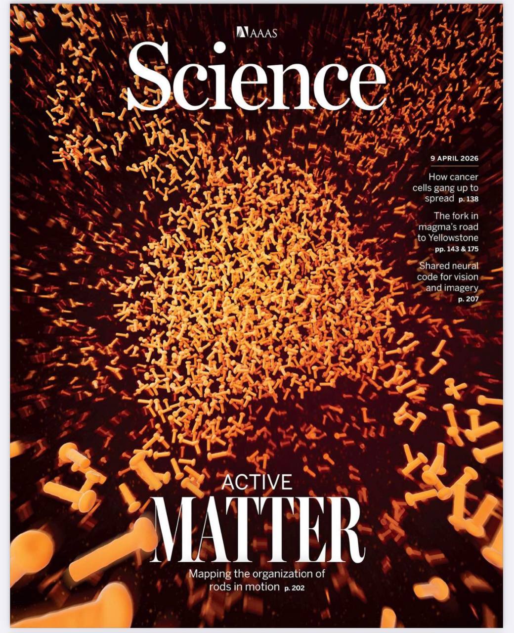 科学-09.04.2026