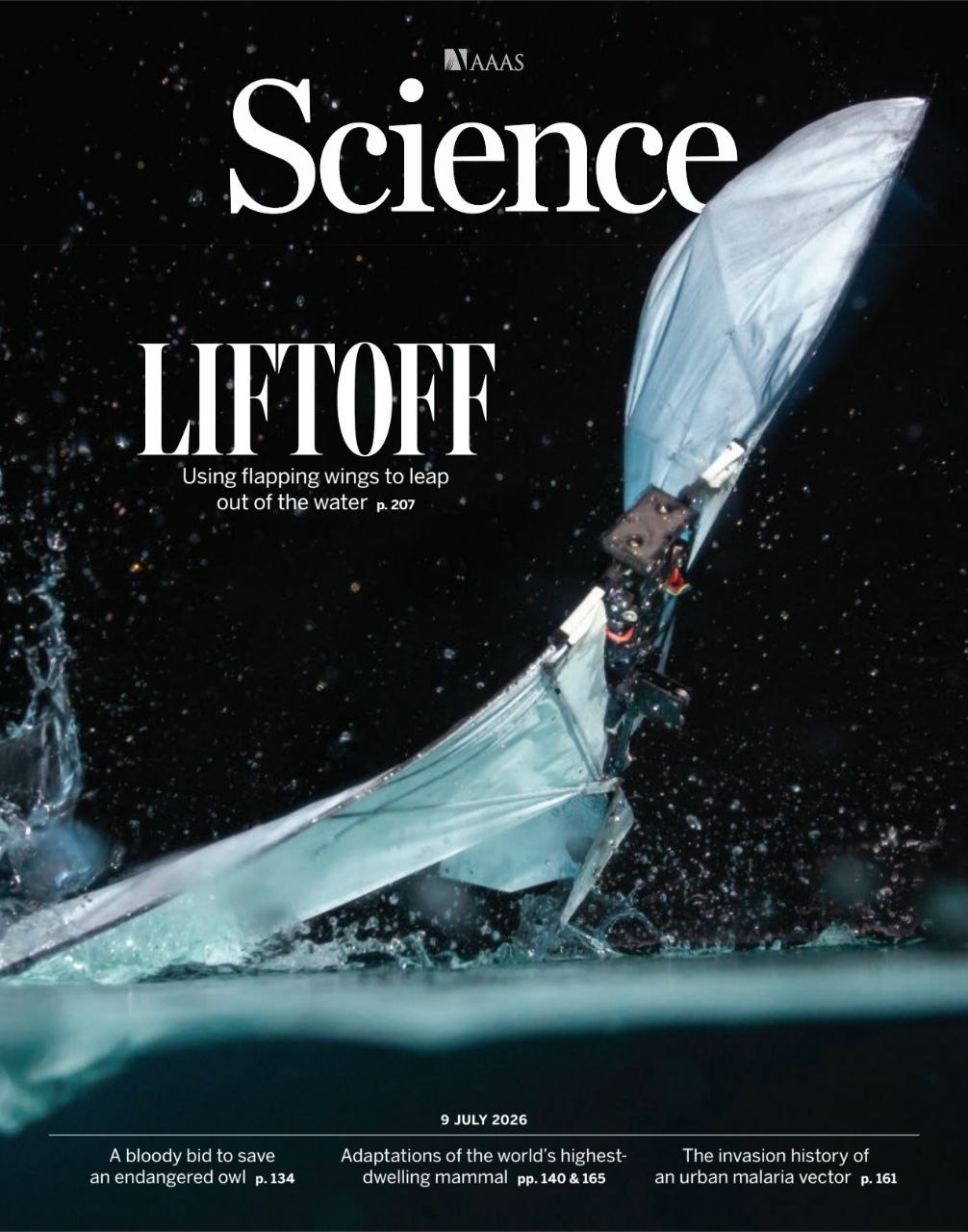 科学-09.07.2026